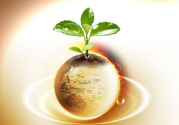 美国邮轮、航空股继续回暖，苹果股价续创历史新高！